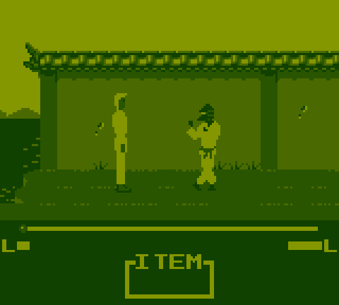 Master Karateka